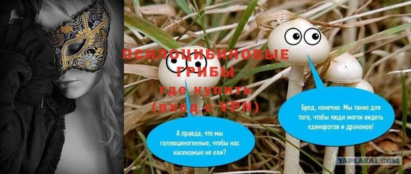 стаф Абдулино