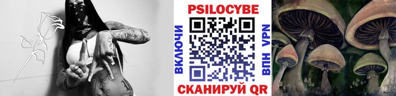 Псилоцибиновые грибы мицелий  Каменск-Шахтинский 